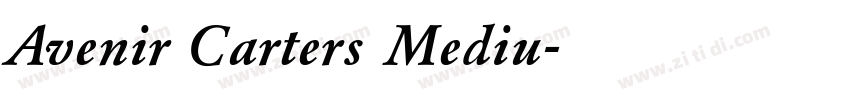 Avenir Carters Mediu字体转换